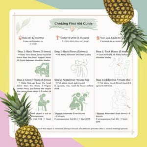 May include: A Choking First Aid Guide poster featuring instructions for babies, toddlers, children, and adults. The chart includes step-by-step illustrations for back blows and abdominal thrusts, with text detailing emergency procedures and 911 calls.