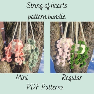 May include: Two crocheted string of hearts plant hangers, one mini and one regular size. The mini hanger is pink and green, and the regular hanger is pink and green. The hangers are hanging from a tree branch.