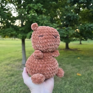 May include: A handmade, brown crochet bear with a rounded body, small arms and legs, and a small, rounded head with tiny ears. The bear is made of a soft, textured yarn and is held in a person's hand against a backdrop of green trees and grass.
