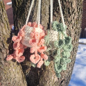 May include: Two crocheted hanging planters with white yarn and pink and green crocheted leaves. The planters are hanging from a tree branch.