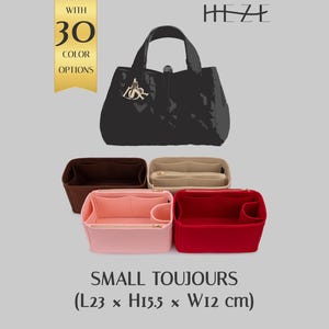 May include: A black handbag with a gold charm, accompanied by four felt purse organizers in dark brown, beige, light pink, and red. The text reads HEZE, WITH 30 COLOR OPTIONS, and SMALL TOUJOURS (L23 x H15.5 x W12 cm) for the organizer dimensions.