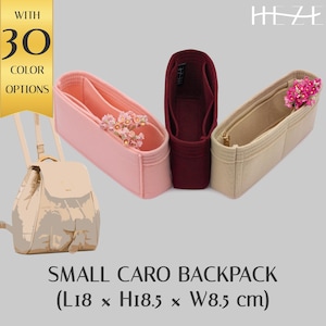 Deluxe Backpack Organizer for Small Caro Backpack - Customizable Personal Organizer with Pockets