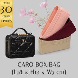 Deluxe Handbag Organizer for Caro Box Bag - Customizable Personal Organizer with Pockets - Multiple Color Options