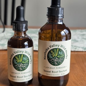 May include: Two amber glass bottles of Nashoba Valley Wild Herbs Teasel Root Tincture. The bottles have black droppers and white labels with green and gold botanical designs. The smaller bottle is 2 oz, the larger is 4 oz.