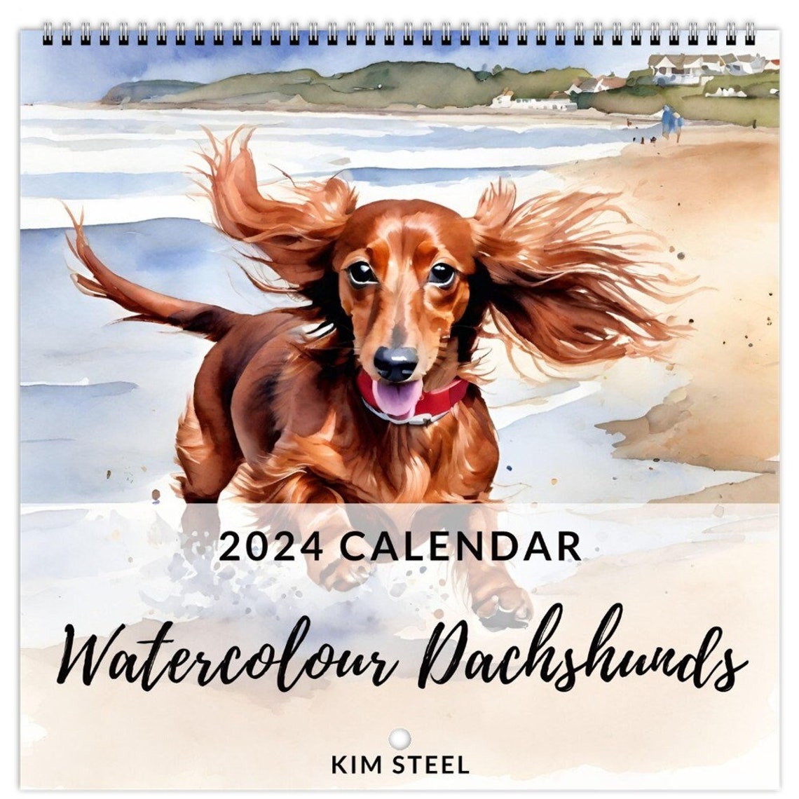 2024 Dachshund Wall Calendar Dogs Watercolour Sausage Dogs Large One