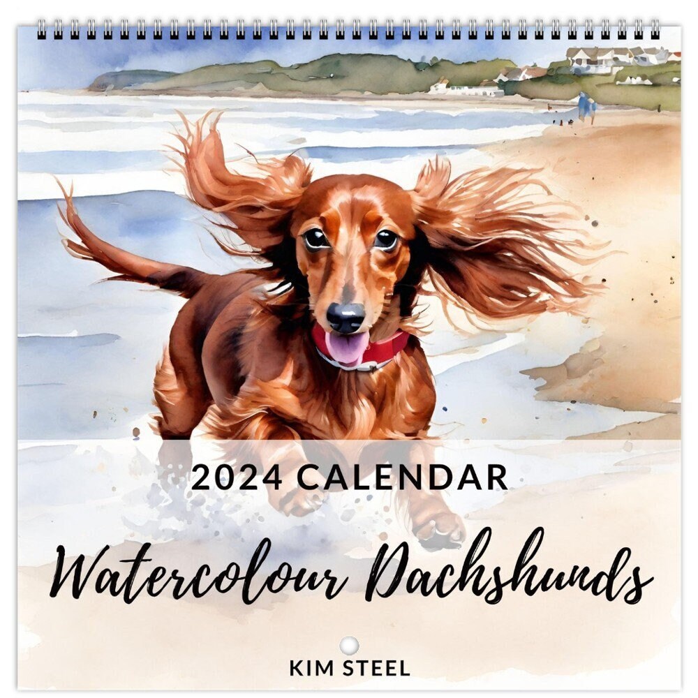 2024 Dachshund Wall Calendar Dogs Watercolour Sausage Dogs Large One