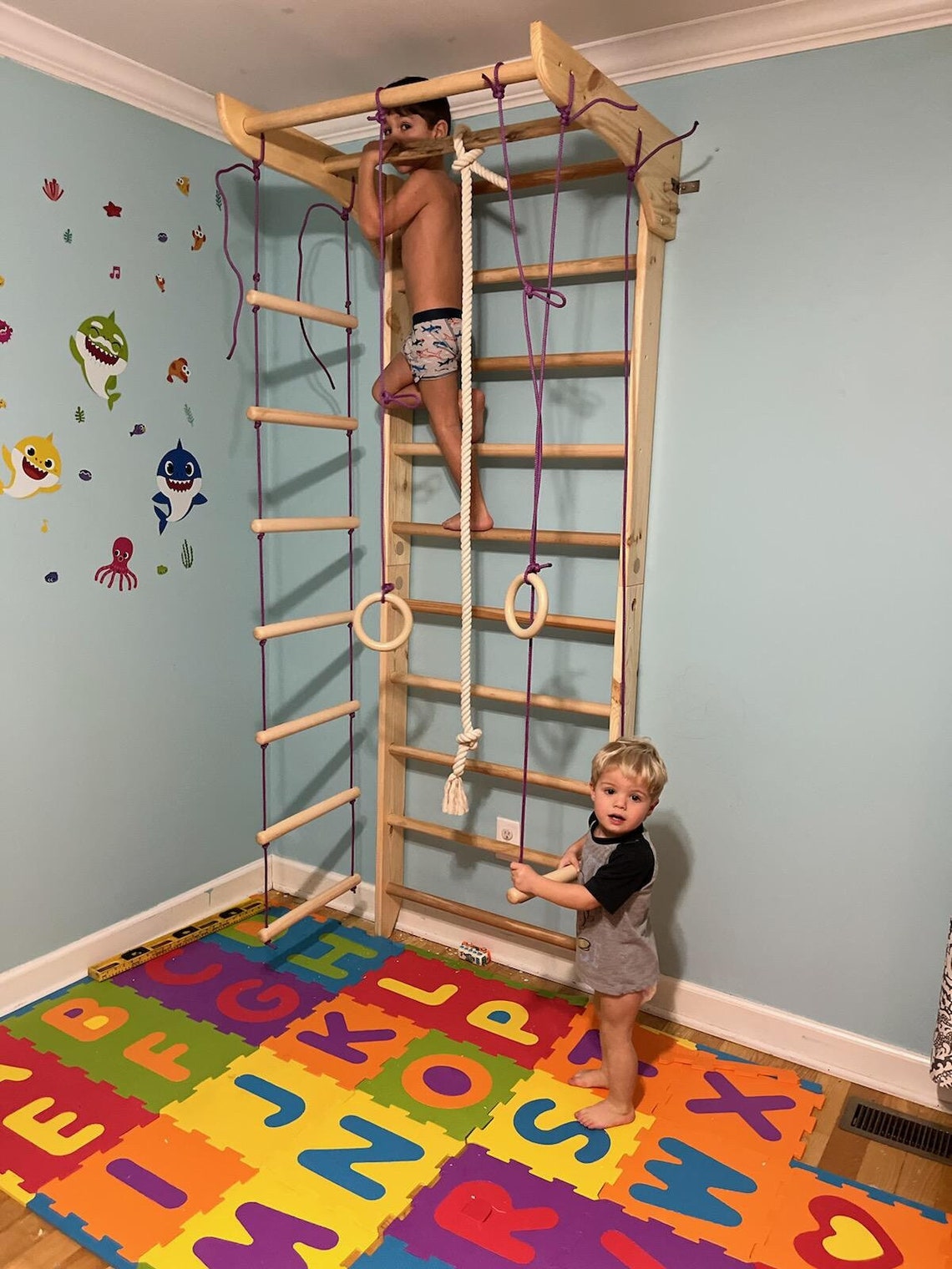 Bars And Ropes Sport Ladder With Fixed Pull-up Bar and Rope Swing Attachments for Home ...