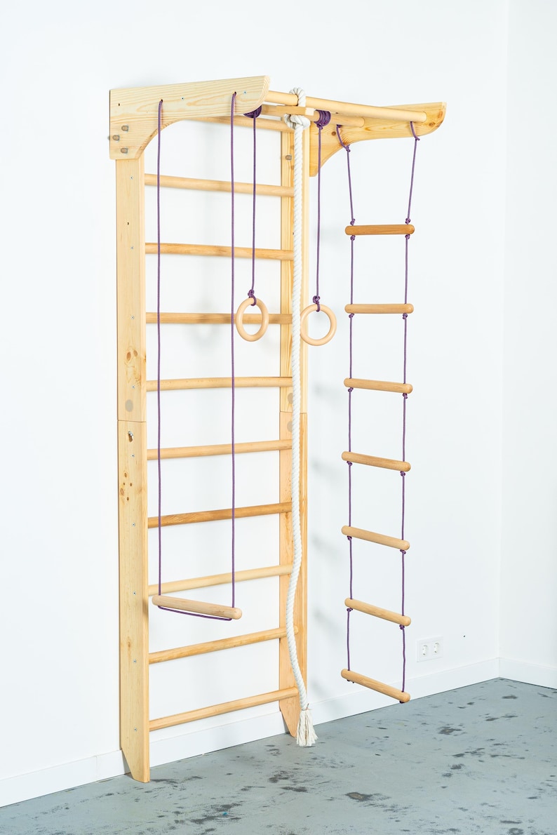Sport Ladder With Fixed Pull-up Bar and Rope Swing Attachments for Home ...