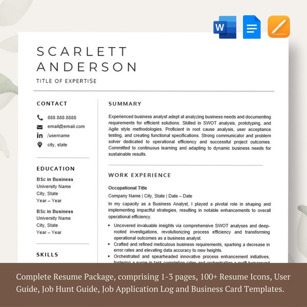 Professional CV Template, Professional & Modern Resume Template for Word and Pages, Resume Design, CV Template for Word, Instant Download