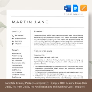 Executive Resume Template Google Docs Resume Template Word Apple Pages Resume ATS Friendly CV Template Clean Professional Resume Template