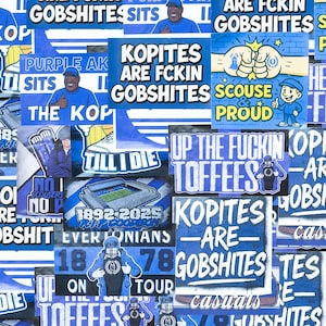 Pegatinas del Everton / Varios tamaños / Evertonianos / Merseyside / Ultras / Toffees / Fútbol / Casuales / Fútbol americano