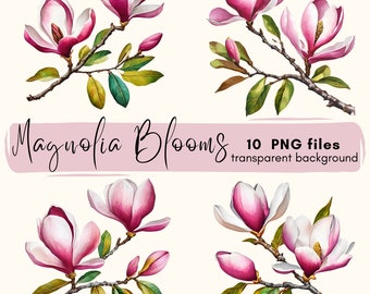 Magnolia Clipart Bundle: Floral PNG Graphics for Scrapbooking (Digital Download)
