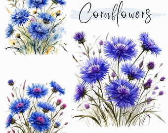 Watercolor Cornflower Clip Art: Floral PNG Images (Digital Download)