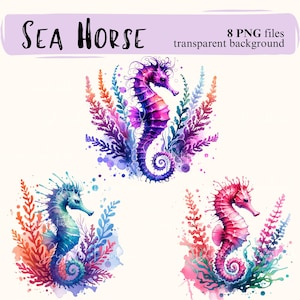 Watercolor Sea Horse Clipart: Transparent PNG Bundle (Digital Download)