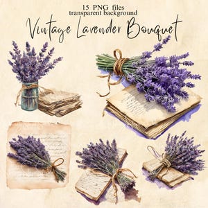 Vintage lavanda ramo Clip Art, lavanda ramo archivos PNG, descarga digital, fabricación de tarjetas, artesanía de papel, diario basura, uso comercial POD