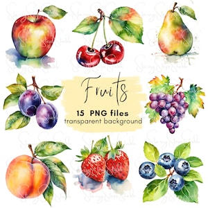 Bundle di clipart di frutta ad acquerello da scaricare in formato digitale, PNG trasparenti di frutta e bacche, creazione di biglietti, scrapbooking, uso commerciale