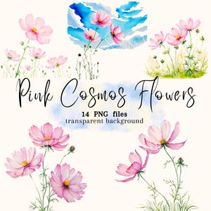 Descarga digital PNG de imágenes prediseñadas de cosmos rosa, diseño de sublimación de flores de cosmos, creación de tarjetas, pegatinas, álbumes de recortes, diarios basura, uso comercial