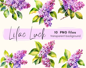 Clipart-paket med lila grenar: Transparent PNG-nedladdning för kommersiellt bruk