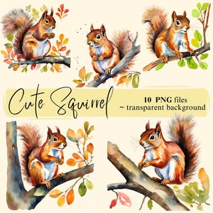Téléchargement numérique des cliparts écureuil mignon, écureuil aquarelle PNG Transparent, fabrication de cartes, scrapbooking, autocollants, journal indésirable, usage Commercial