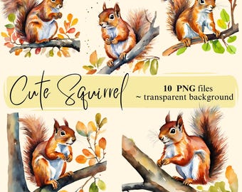 Watercolor Squirrel Clipart: Transparent PNG Images (Digital Download)