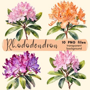 Pacchetto di clipart di rododendri, download digitale, grappolo floreale in formato PNG trasparente, creazione di biglietti, album di ritagli, adesivi, diario di scarto, uso commerciale