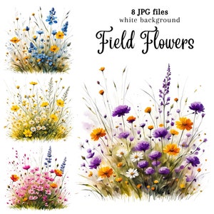 Field Flowers Clipart Bundle, Akwarela Wild Flowers Clip Art Digital Download, Wydrukowane Field Flowers JPG, Papierowe rzemiosło, Komercyjne zastosowanie