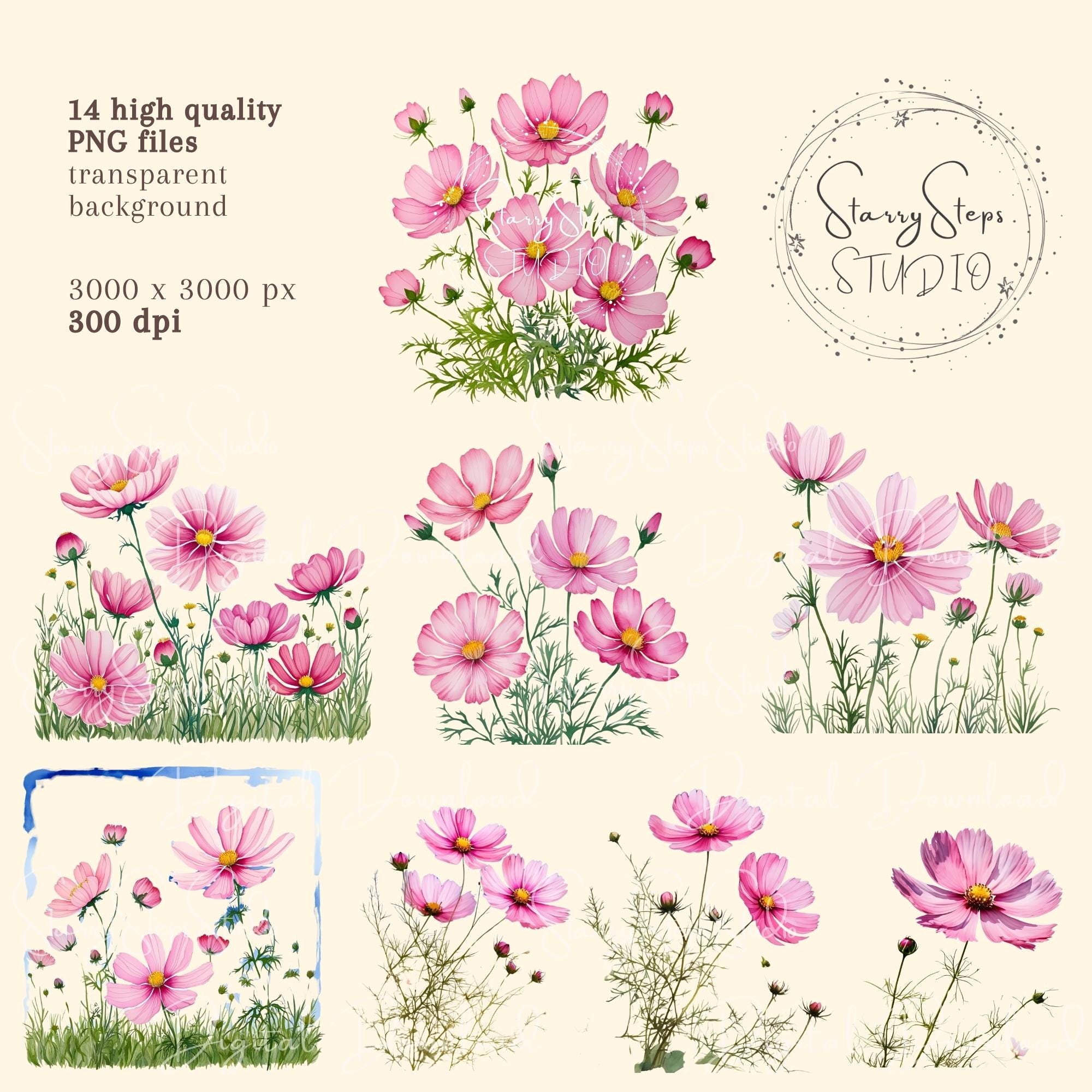 Cosmotics Png File Pink Cosmos Clipart: Floral PNG Files for Sublimation (digital Download ...