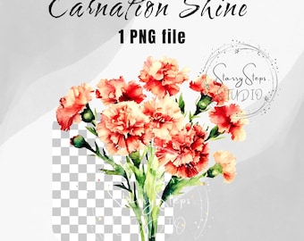 Carnation Bouquet PNG: Floral Clipart for Sublimation (Digital Download)