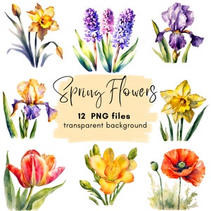 Spring Flowers Clipart Bundle, Spring Flowers Clipart Digital Download, Transparent PNG, Card Making Scrapbook Junk Journal, Commercial Use