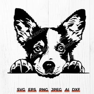 Australian Cattle Dog SVG: Peeking Heeler Portrait Clipart (Digital Files)