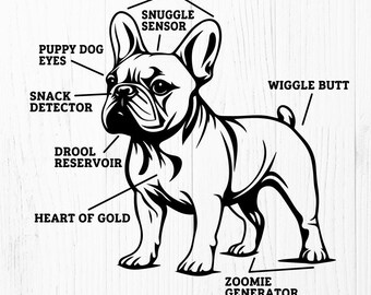 Anatomie einer französischen Bulldogge SVG, lustige Frenchie PNG, französische Bulldogge Mutter Geschenk