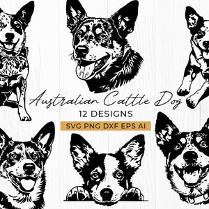 Bouvier australien bleu Heeler SVG Cricut | Clipart chiot mignon, cadeaux pour amoureux des chiens, Image vectorielle DXF, art imprimable