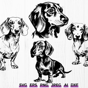 Dachshund SVG Bundle | Sausage Dog Sketch Svg, Doxie Mom Gifts, Vector Illustrations, Clipart, Digital Download, Commercial Use