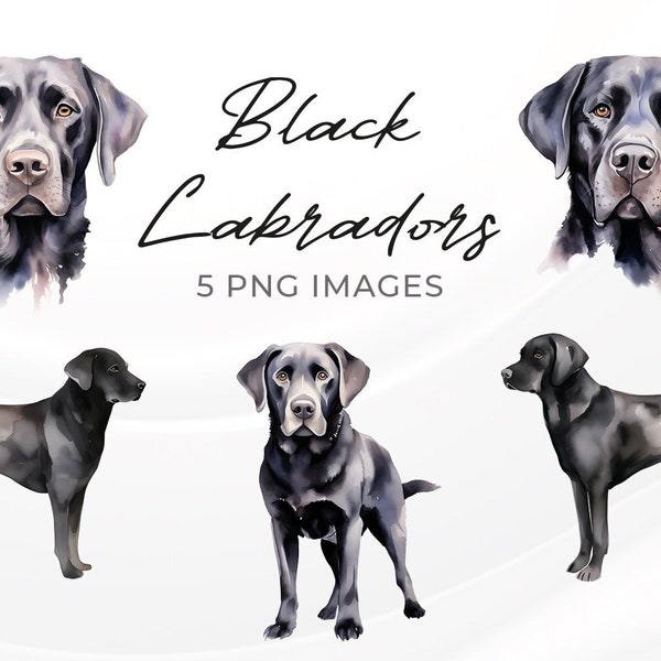 Black Labrador Retriever Watercolor Clipart PNG | Dog Illustration, Pet Lover Gifts Png, Lab Dog Mama, Digital Download