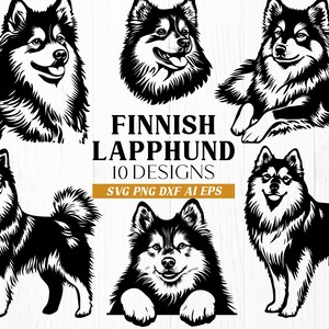 Peut inclure: Dix modèles de chiens de race Finnish Lapphund en noir et blanc. L'image présente diverses poses des chiens, notamment debout, assis et des plans de tête. Le texte indique "Finnish Lapphund 10 Designs" avec des options de type de fichier.