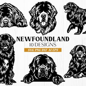 Puede incluir: Diseños de perros Terranova en blanco y negro. La imagen presenta 10 ilustraciones diferentes de perros Terranova en varias poses, incluyendo acostado, sentado y caminando. El texto dice "NEWFOUNDLAND 10 DESIGNS" con opciones de tipo de archivo.