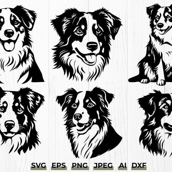 Chien de berger australien SVG, design mignon visage australien, fichiers Svg de chien pour Cricut, cadeaux pour amoureux des animaux de compagnie, race de chien, téléchargements numériques instantanés