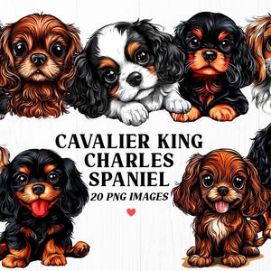 Paquete de Cavalier King Charles Spaniel PNG: 20 adorables diseños de cachorros, imágenes prediseñadas de perros en acuarela para sublimación y manualidades
