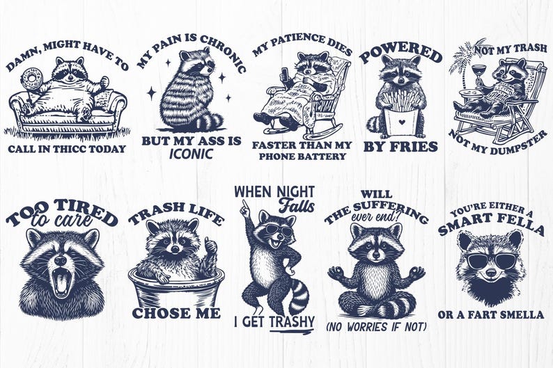 Funny Raccoon SVG Bundle for Trendy Shirts - Stay Trashy Sarcastic Animal Quotes image 4