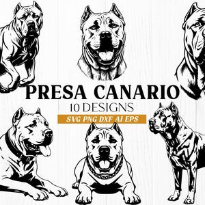 Könnte beinhalten: Eine Sammlung von sechs schwarz-weißen grafischen Illustrationen von Presa Canario Hunden in verschiedenen Posen. Der Text lautet PRESA CANARIO 10 DESIGNS SVG PNG DXF AI EPS. Die Designs zeigen detaillierte Schattierungen und Umrisse.