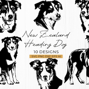 May include: Black and white illustrations of New Zealand Heading Dogs in various poses. The image includes the text "New Zealand Heading Dog" and "10 Designs" with file type options: SVG, PNG, DXF, EPS, and AI.