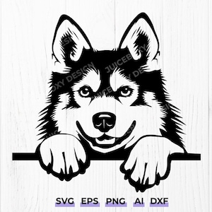Peeking Husky Dog SVG - Adorable Husky Face Design for Home Decor, T-Shirts, Wall Art, DIY Craft Projects