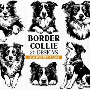 May include: A collection of black and white Border Collie designs. The image features various illustrations of the dog breed, including portraits and full-body depictions. Text reads "BORDER COLLIE 20 DESIGNS" with file type information.