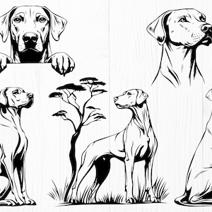 Rhodesian Ridgeback SVG Bundle – 15 Dog Silhouette Designs | Ridgeback ...