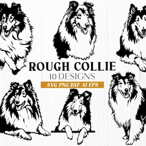 Op de afbeelding: Zwart-witte ontwerpen van Rough Collie honden. De afbeelding toont verschillende illustraties van het ras in verschillende poses, waaronder staan, zitten en liggen. De tekst luidt "ROUGH COLLIE 10 DESIGNS" en "SVG PNG DXF AI EPS".