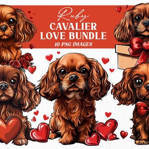 Può includere: Un set di 10 illustrazioni digitali di Cavalier King Charles Spaniel in varie pose con cuori e fiori. Il set è intitolato "Ruby Cavalier Love Bundle" e include 10 immagini PNG.