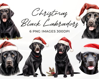 3dRose Gartenflagge Labrador Als Weihnachtsmann – 30,5 X 45,7 Cm, Polyester, Einseitig Bedruckt