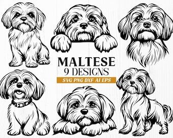 以下が含まれることがあります： さまざまなポーズをとったマルチーズ犬の白黒イラスト9点。画像の下に「Maltese 9 Designs SVG PNG DXF AI EPS」というテキストがあります。