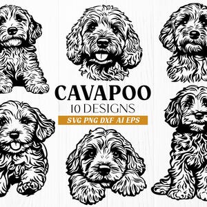 May include: A set of 10 black and white illustrations of Cavapoo dogs in various poses. The illustrations are in a simple, line art style. The text "Cavapoo 10 Designs SVG PNG DXF AI EPS" is included in the image.