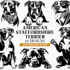 Può includere: Un set di 20 illustrazioni vettoriali in bianco e nero di American Staffordshire Terrier in varie pose. Il testo "American Staffordshire Terrier 20 Designs SVG PNG DXF AI EPS" è visualizzato sotto le immagini.